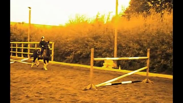 why i love my horse.. without words ♥ смотреть онлайн