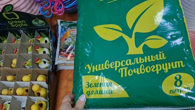 Не Фикс прайс.Магазин Одна цена.Все по 49 руб.Опять новинки.Покажу все самое интересное.Декабрь 202 смотреть онлайн