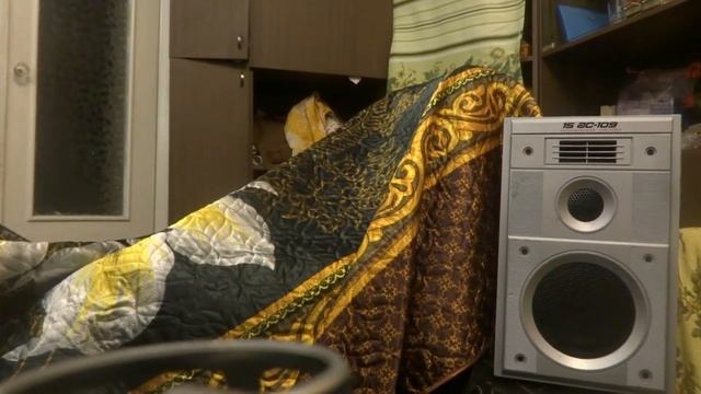 Вега сток, на разной музыке смотреть онлайн