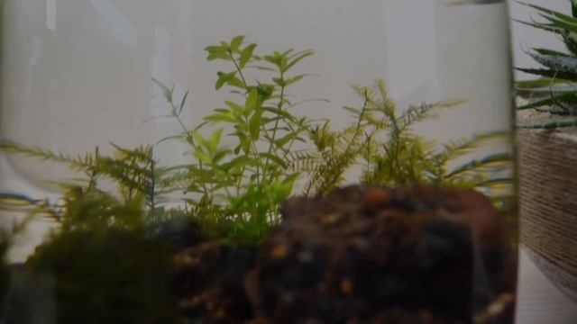 ну......за мальков! смотреть онлайн