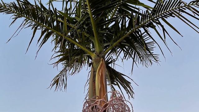 ПРИТЧИ ГЛАВА 29 смотреть онлайн