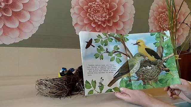 Как птички строят гнёзда смотреть онлайн