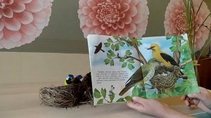 Как птички строят гнёзда