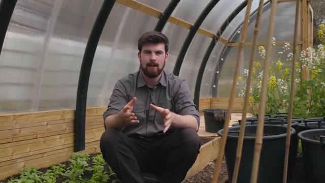 Удивительный способ использования КРАПИВЫ для улучшения успеха рассады смотреть онлайн