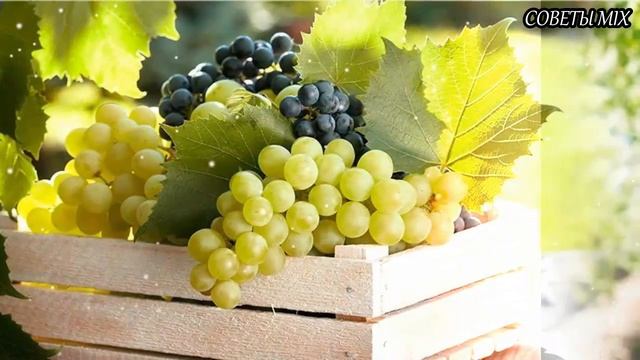 Вот Что нужно Есть чтобы забыть о Высоком давлении Питание гипертоника Как привести Давление в норм смотреть онлайн