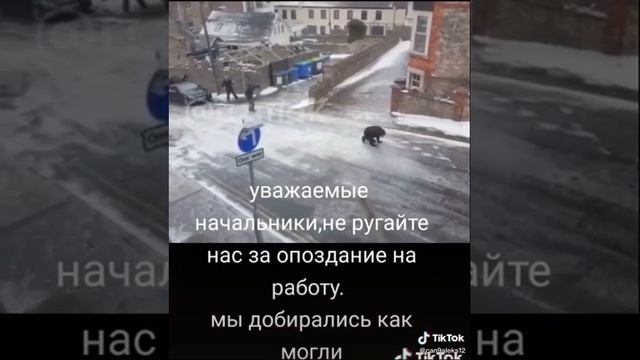 Учебник по Мастерству