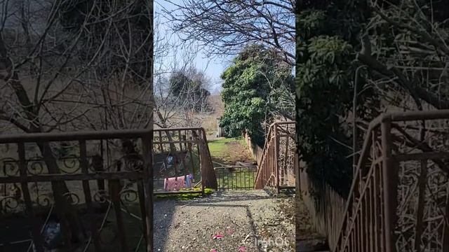 Продаётся дом в Алахадзы смотреть онлайн