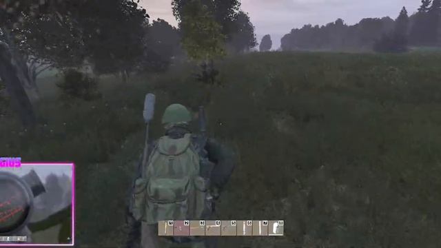 DayZ | #022 Streaming Day [x2 Player Squad] MultiViewGameplay смотреть онлайн