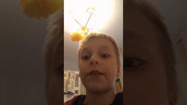 трансляция ВК это свершилось 29 октября в 1:00 дня до 2:00 жду вас смотреть онлайн