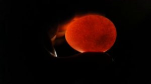 Овоскопирование инкубационного яйца с помощью фонарика