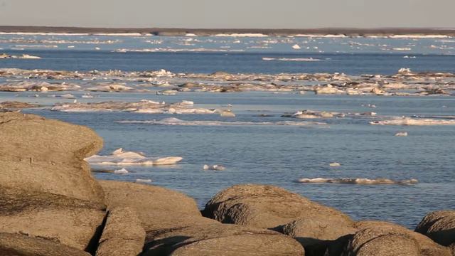 Лёд в проливе Югорский шар смотреть онлайн
