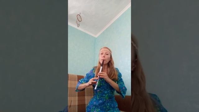 Мелодия из Мультфильма Шрэк (Аллилуя) , сыгранная на Ирландской дудочке Вистл. смотреть онлайн