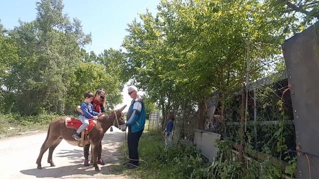 ИА скоро станет ездовым. Обучение 0слика ? смотреть онлайн