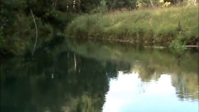 Прогулка по Истоку и Ворсменскому озеру смотреть онлайн