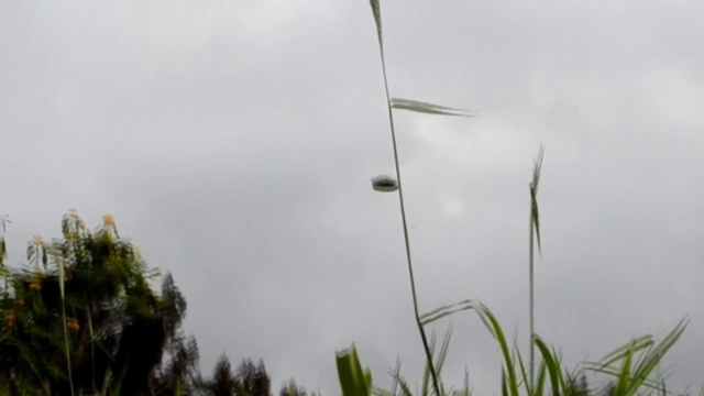 UFO Video HD (11) смотреть онлайн