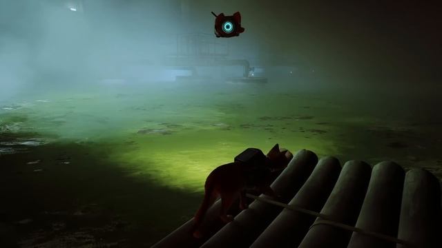 when I said STRAY was a horror game.. I wasn't kidding смотреть онлайн