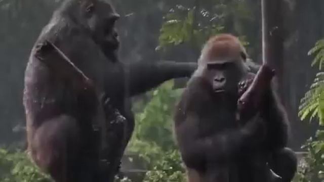 Не подходи ко мне, я обиделась!