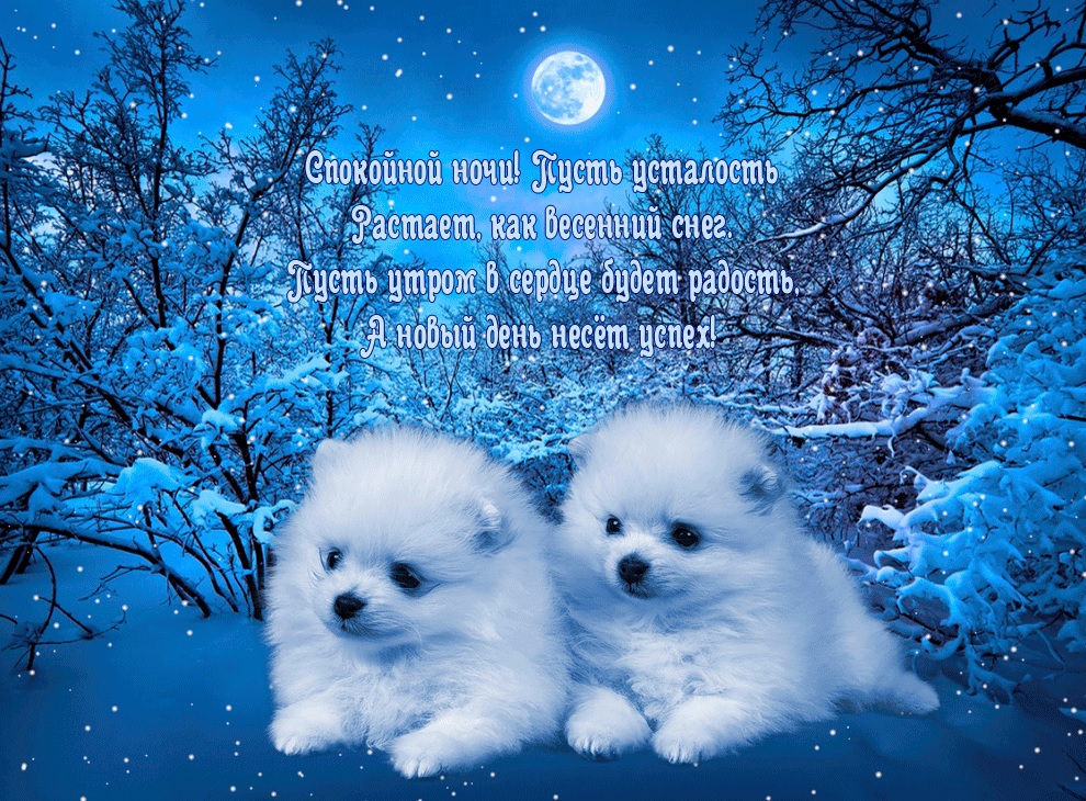 Доброй Ночи Сладких Снов! Пожелание Доброй Ночи смотреть онлайн