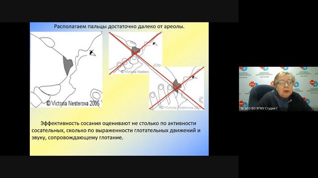 Грудное вскармливание счастье матери или тяжёлый труд. Доцент Строева Л.Е. смотреть онлайн