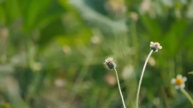 Многодетная вдова приютила на ночь беглого зэка. А когда услышала плач из детской, ринулась туда.. смотреть онлайн