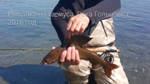 Камчатка хариус. Ловля хариуса на Камчатке.  Kamchatka grayling.
