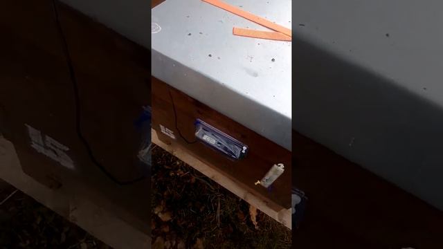 Как не открывая улика убедится живы ли пчелы и как сидит клуб зимой. смотреть онлайн