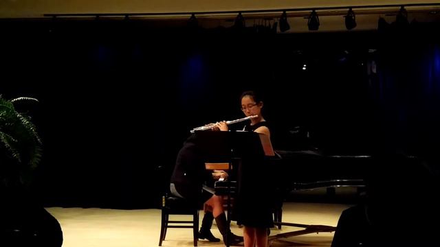 Mozart Concerto in C Major for flute and harp смотреть онлайн