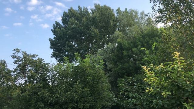 Притча смотреть онлайн