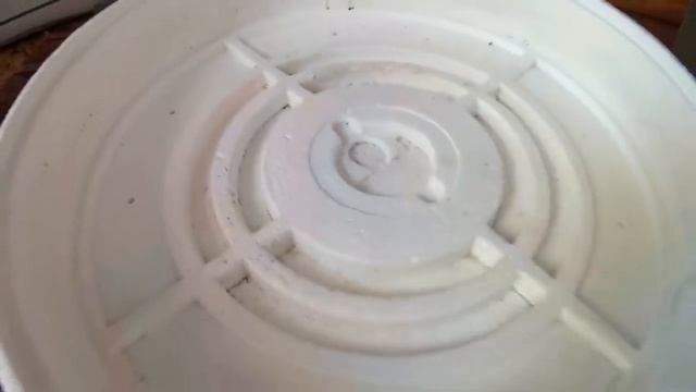 Какой купить инкубатор?//Инкубаторы Золушка и ИМЭ 25-220 смотреть онлайн