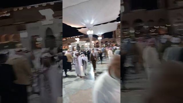 лучезарная Медина