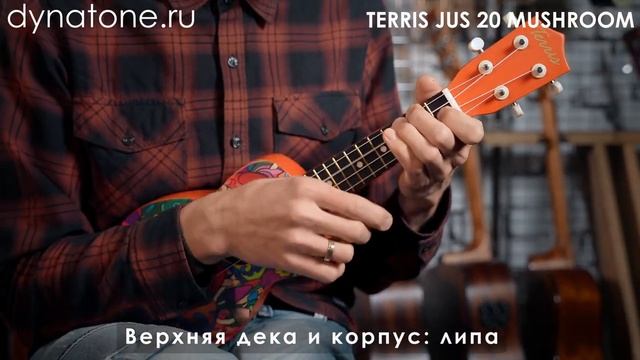 Как звучит укулеле из липы? Пример звучания укулеле TERRIS MUSHROOM смотреть онлайн