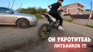 ДАВИД - УНИЧТОЖИТЕЛЬ ПИТБАЙКОВ