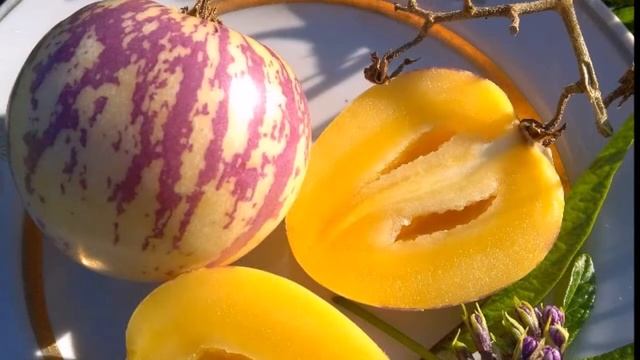 ЧТО ЗА ФРУКТ ТАКОЙ - ДЫННАЯ ГРУША. ПЕПИНО смотреть онлайн