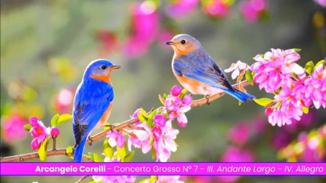 Arcangelo Corelli - Concerto Grosso Nº 7 смотреть онлайн