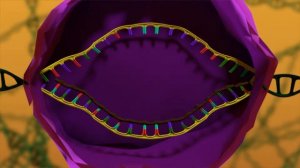 Биосинтез белка. Часть 2 - Транскрипция|Биология 9-11 класс