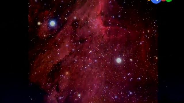 Созвездие «Лебедь» смотреть онлайн