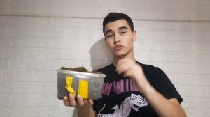 ЗИМОВКА ПРЫТКИХ ЯЩЕРИЦ!!! ЗИМУЮ ЯЩЕРИЦ!#ящерица