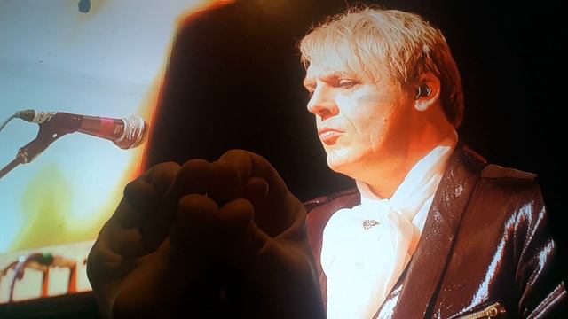 Horacio the handsnake - Nick Rhodes смотреть онлайн