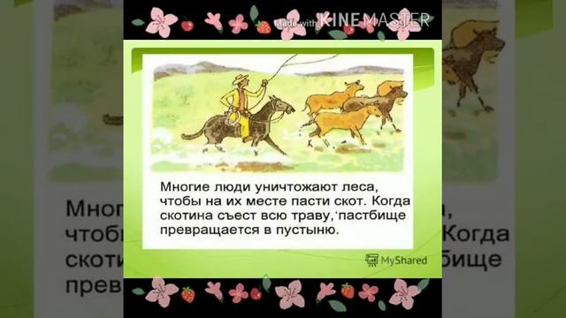 Что такое экология? смотреть онлайн