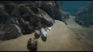 BDO 6 жемчужных моллюсков у острова Ваэджо.