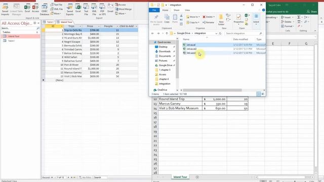 Integrating Data between Word Access & Excel смотреть онлайн