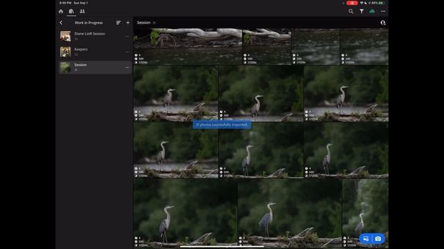 Efficient photo (and video) editing, part 2: my iPad workflow (September 2019) смотреть онлайн