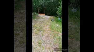 15ти метровая лестница к реке с пирсом на крутом спуске ???