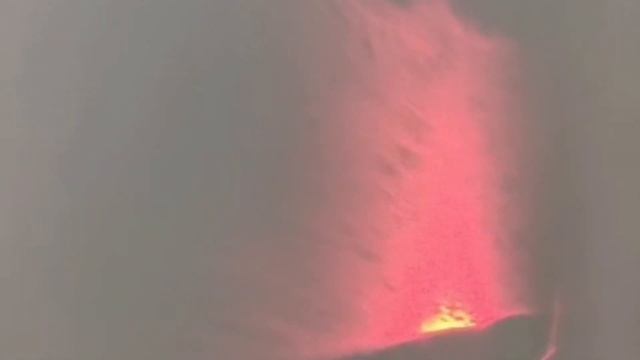 Живые организмы в воде смотреть онлайн