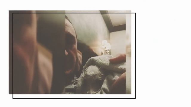 Бишон фризе. Как мыть щенка. bichonfrise смотреть онлайн