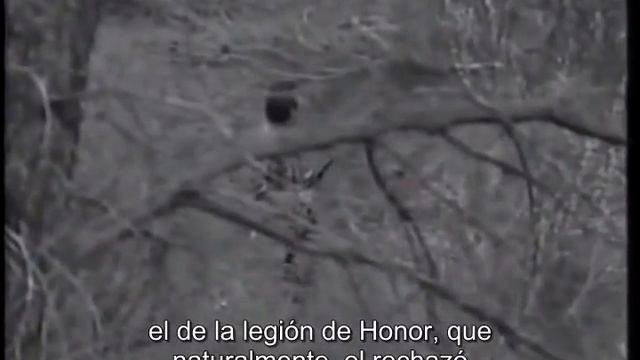 Maquis a Catalunya - Ramon Vila i Capdevila (7) смотреть онлайн