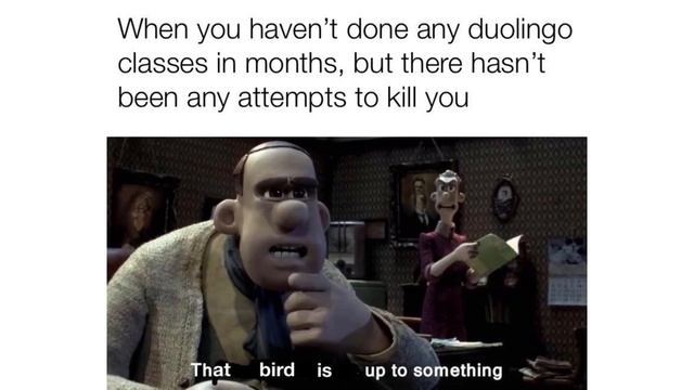 Duolingo Memes