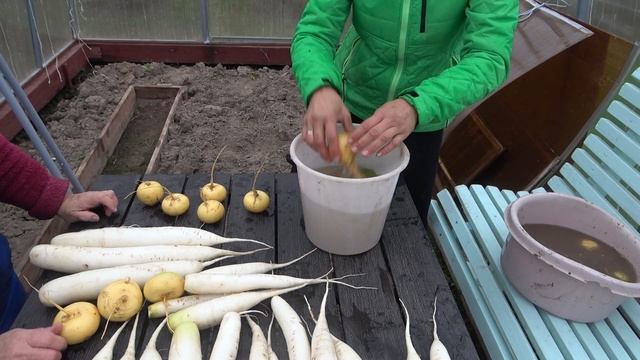 6 соток 29 октября 2022 год. Хроника. Life in the garden. смотреть онлайн