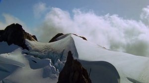 Лес — экологическая система, биогеоценоз, в которой главной жизненной формой являются деревья