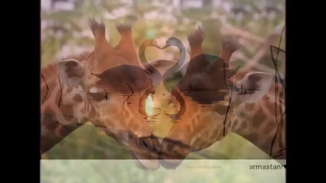 В каждом живом сердце, есть место для любви, учитесь любить искренне... смотреть онлайн